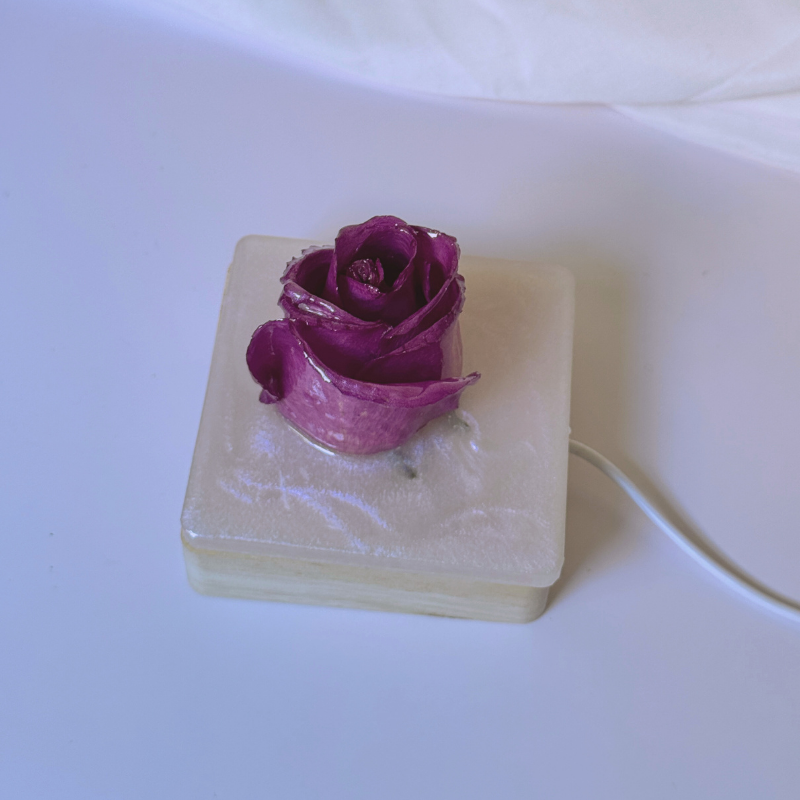 Bloom No. 01 – Real Rose Resin Lamp