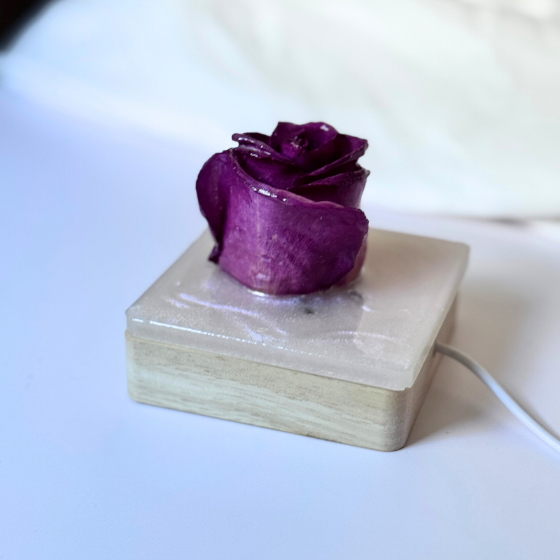 Bloom No. 01 – Real Rose Resin Lamp