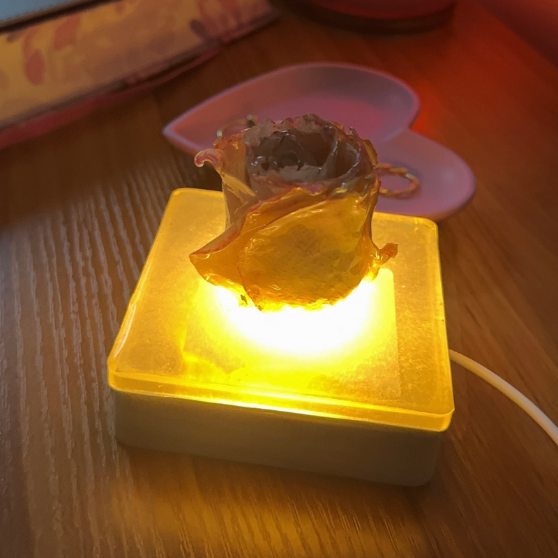 Bloom No. 01 – Real Rose Resin Lamp