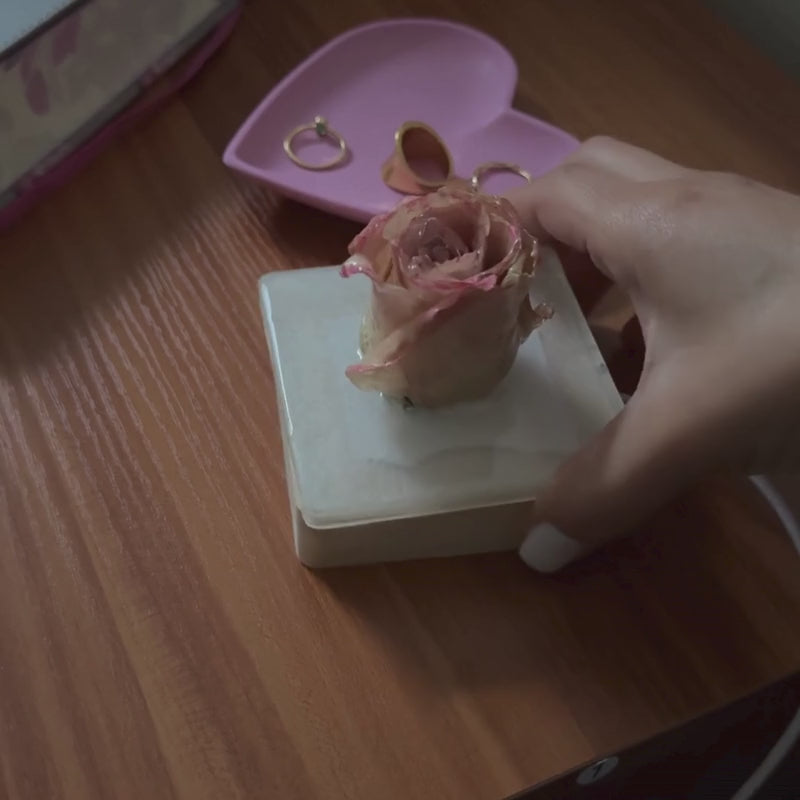 Bloom No. 01 – Real Rose Resin Lamp